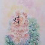 《パステル画》私を見上げるポメラニアン 