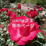micha様専用ページ