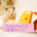 pukuchanさまオーダー品