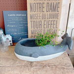 ブラック系♡クジラ型 【オシャレな陶器鉢】寄せ植えにもぴったり♪ガーデン雑貨 ガーデニング雑貨！鉢カバー♡