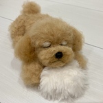 羊毛フェルト＊トイプードル＊アプリコット＊犬