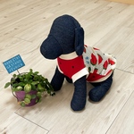 再販🐶犬服【メッシュ🍉すいか柄タンク🔴レッド】