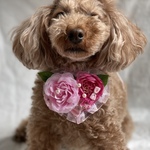 ピンク薔薇チョーカー💖ペットアクセサリー