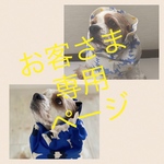 お客さまおまとめ★ページ　犬用スヌード　中型犬用スヌード