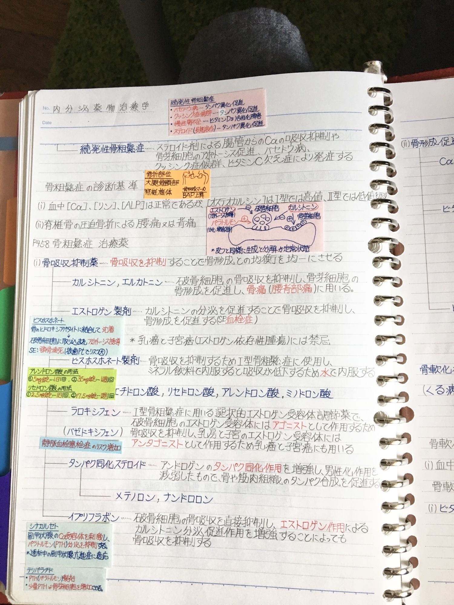 医療系学科定期試験、国家試験対策シリーズ【薬物治療学】まとめノート