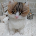 （mokko-moko様専用ページ）最愛の三毛猫ちゃん🐱🌹