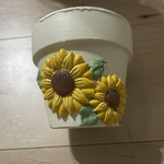 ひまわり🌻鉢