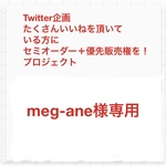 meg-aneさん専用