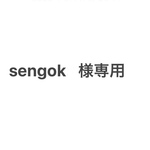 sengok様専用です。他の方はご購入をお控えください。