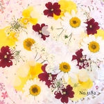 ♡new♡作家様必見♡押し花MIXセット♡押し花セット