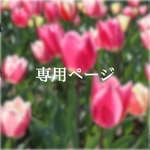 『遊佐ねこ様ご注文専用ページ』