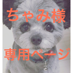 ★ちゃみ様専用ページ