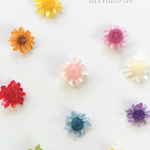 一粒お花ピアス/イヤリング