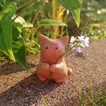 お花土にゃんこ