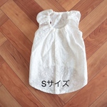 ＊再販＊  [犬服] Sサイズ 完成品 チワワ　　　　　　　レース生地 キャミソールワンピース 背中開き バックオープン