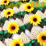 【送料無理】🌻向日葵オーガニックコットンレース🌻業務用チョーカー【１６本セット】トリミングチョーカー