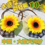 【送料無料】🌻中型・大型犬向け♡向日葵オーガニックコットンレース🌻業務用チョーカー【１０本セット】トリミングチョーカー