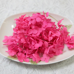 　アナベル紫陽花　あじさい　アジサイ　プリザーブド　ラズベリー