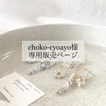 choko-cyoayo様専用販売ページ