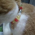 猫ちゃん犬ちゃんペット用ラブリー首輪(ネコチャーム )お買得❣️