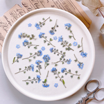 【押し花素材】茎付き勿忘草　ワスレナグサ
