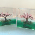 【春限定】∴一本桜∴オルゴナイト