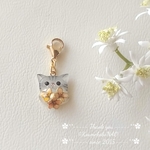 ちび猫マスクチャーム(サバトラ黄花)