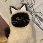 保護猫チャリティぬいぐるみ【シャムさん】