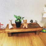 置型◆飾り台◆観葉植物ラック