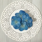 鮮やかな紫陽花のポニーフック