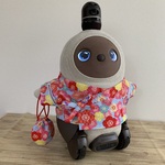 ラボット用　甚平　梅の花　水色✕赤