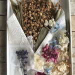 セール！おまけ付き♪スズランのドライフラワー