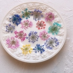 小花ミック　染色　押し花　素材　レジン　