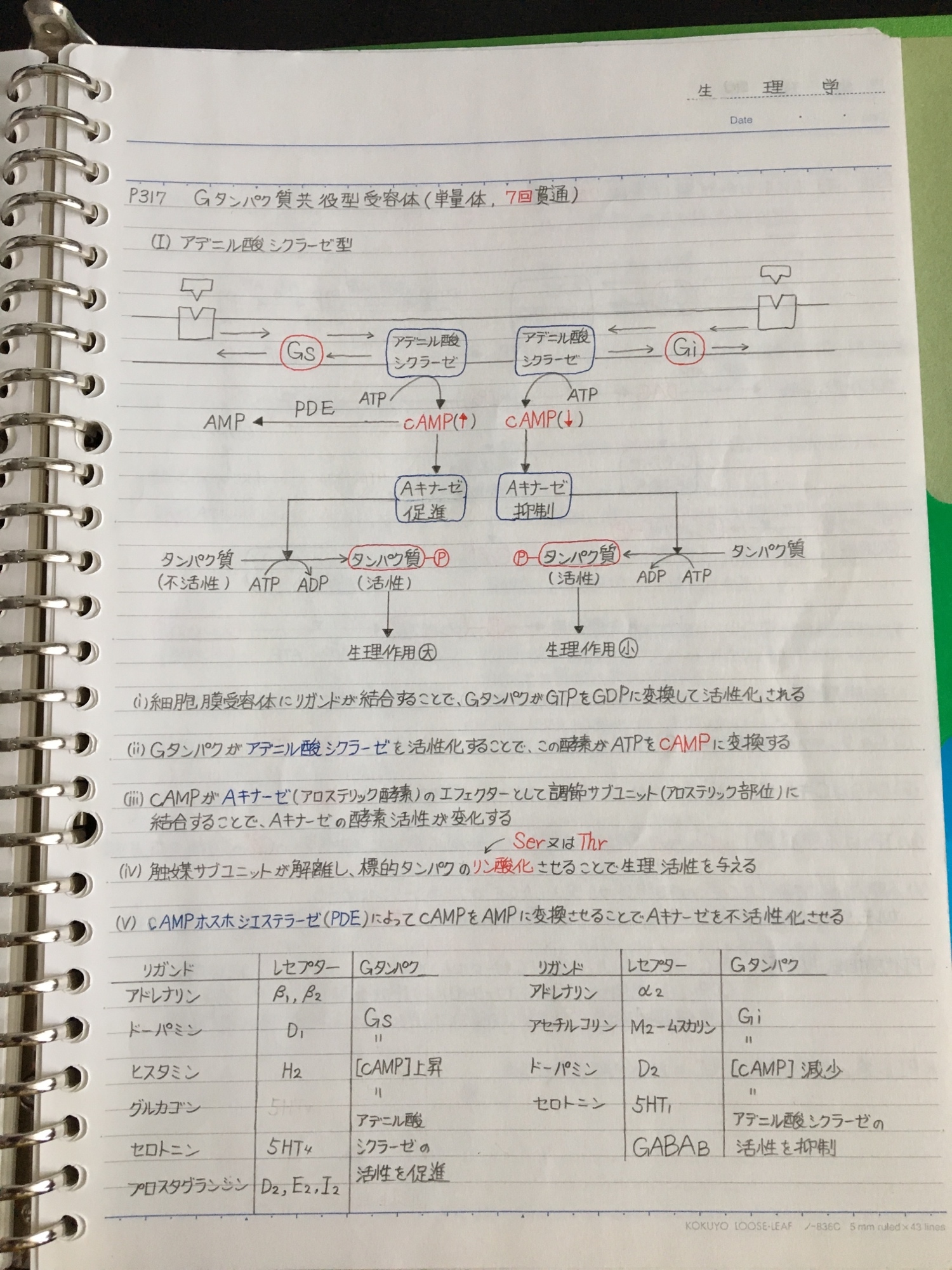 【ステンノ】二級臨床検査士 病理学＋国家試験対策まとめノート(病理) 4f6e6b25877f7eb63d0433d9d0a0a1