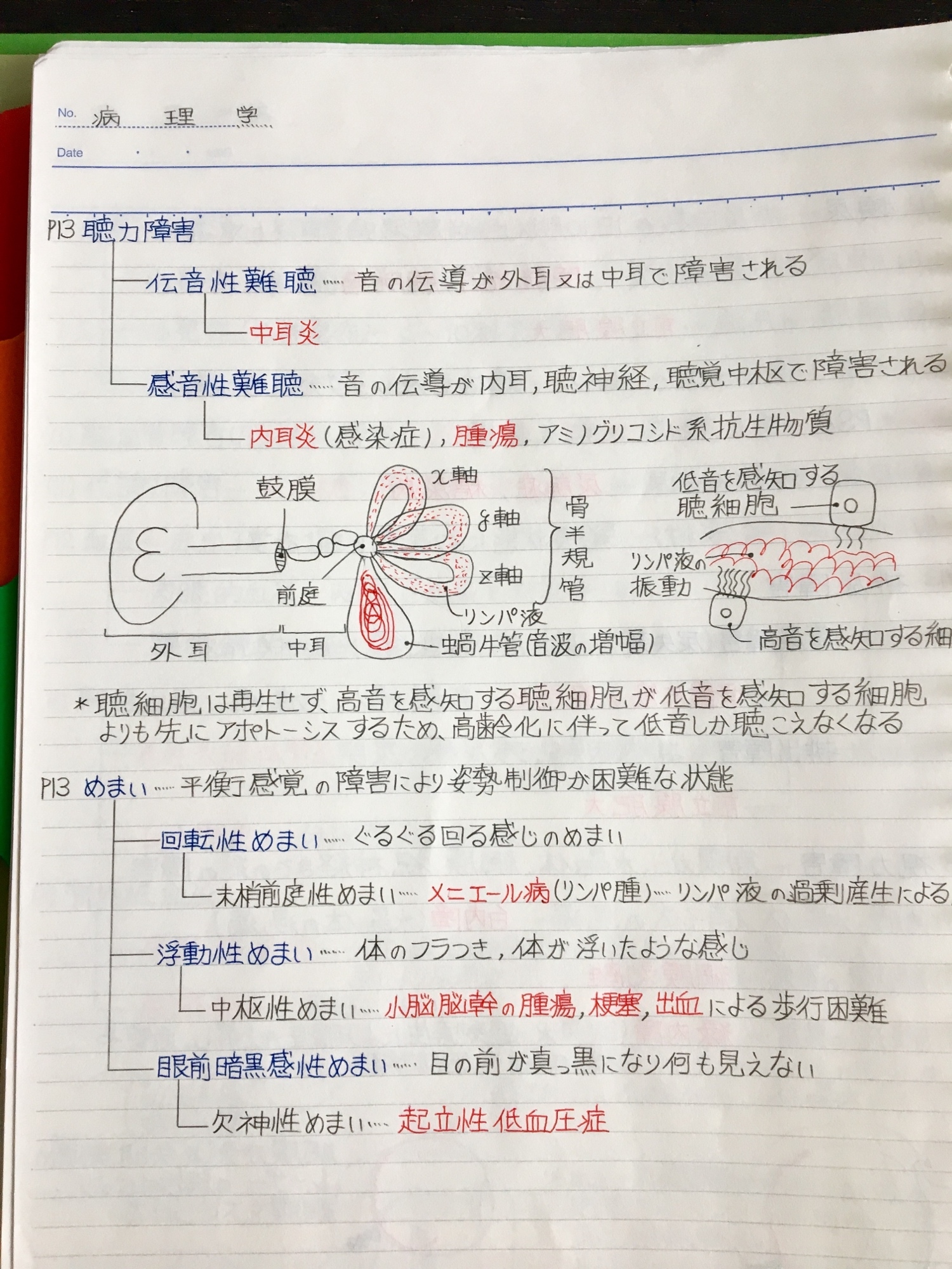 医療系学科定期試験、国家試験対策シリーズ【病理学・生理学