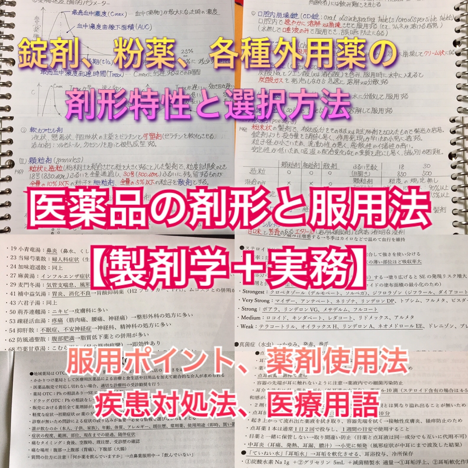 医療系学科定期試験、国家試験対策シリーズ【解剖学・生理学】まとめ