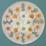 押し花セットC＜組み立てのお花＆オルレア＆レースフラワー他＞