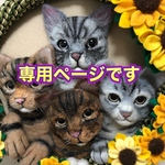 naodokinhime様専用ページです。
