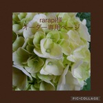 rarapi様オーダー専用ページ