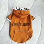 犬服！Msize！訳あり