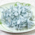 ピラミッド紫陽花　あじさい　アジサイ　プリザーブド　ベイビブルー
