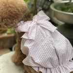 犬服^ ^フワフワバルーンきゃみ