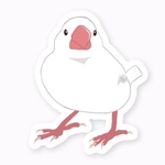 白文鳥さんのステッカー