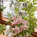 オーダー分