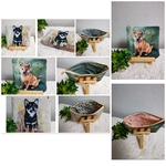 もも様専用ハンドメイド　イジェヒョン　アッシュデザイン生地　犬柄　ポーチ