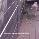 ｐさま専用カート　