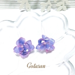 パープル  紫陽花 の イヤリング／ピアス 