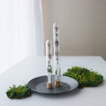 Botanicaltube アストランティア White 