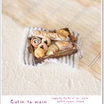 *miniature pan set*