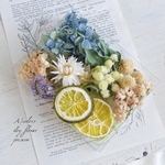 詰め合わせS♡ライムブルー